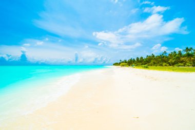 tropikal Maldivler ada Beach'de 