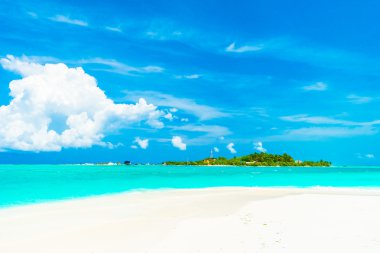 tropikal Maldivler ada Beach'de 
