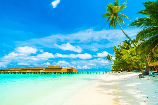 在马尔代夫岛地处热带的海滩 — 图库照片