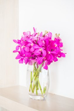 Vazoda orkide çiçek