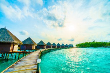 Güzel tropikal Maldivler ada