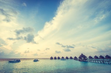 Güzel tropikal Maldivler ada