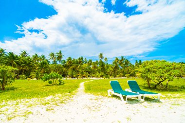 tropikal Maldivler ada Beach'de 