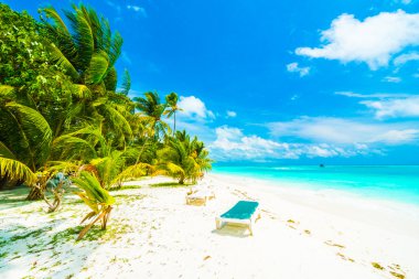 tropikal Maldivler ada Beach'de 