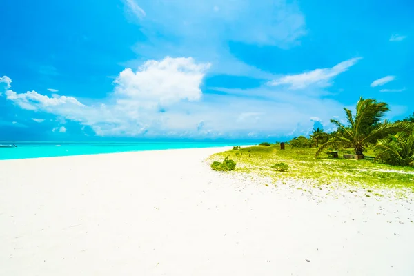 몰디브 섬에 열 대 해변 — 스톡 사진
