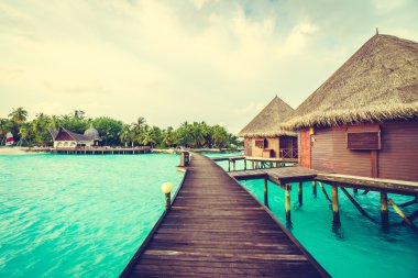 Güzel tropikal Maldivler ada