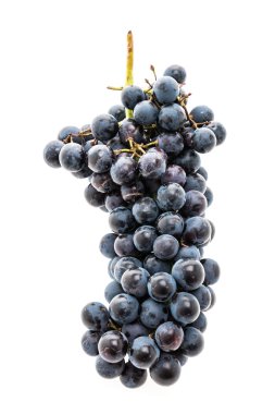 Taze siyah üzüm meyve 