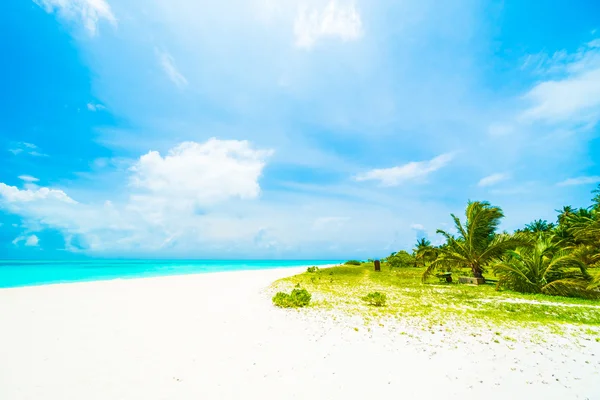 tropikal Maldivler ada Beach'de 