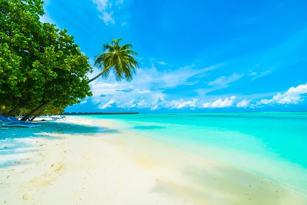 Tropikal Maldivler ada Beach'de — Stok fotoğraf