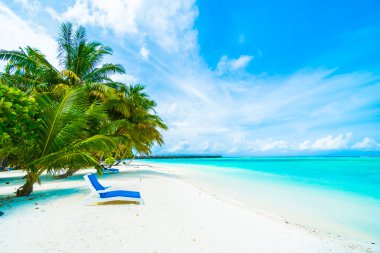 tropikal Maldivler ada Beach'de 