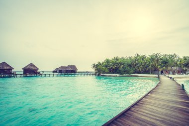Güzel tropikal Maldivler ada