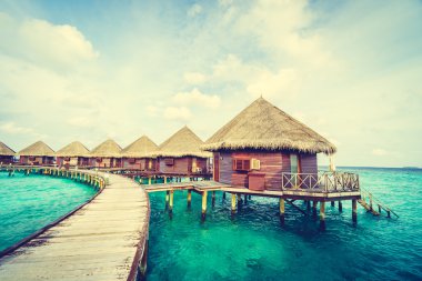 Güzel tropikal Maldivler ada
