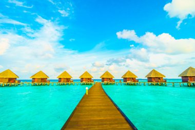 Güzel tropikal Maldivler ada