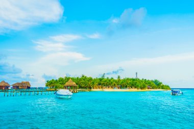 Güzel tropikal Maldivler ada