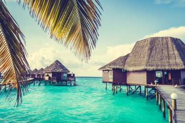 Güzel tropikal Maldivler ada