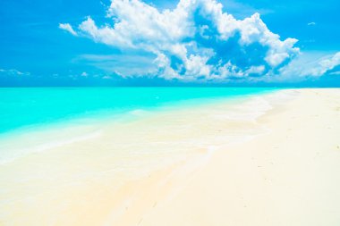 tropikal Maldivler ada Beach'de 