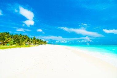 tropikal Maldivler ada Beach'de 