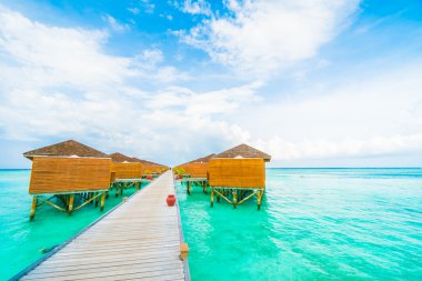 Maldivler adasında güzel tropikal plaj