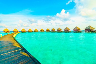 Güzel tropikal Maldivler ada