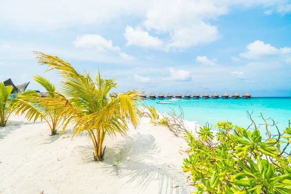 Beautiful tropical Maldives island — Stock Photo, Image