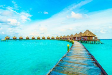 Güzel tropikal Maldivler ada