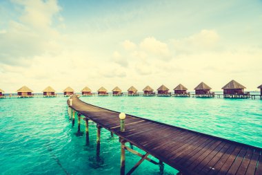 Güzel tropikal Maldivler ada