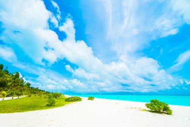 tropikal Maldivler ada Beach'de 