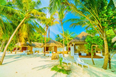 Güzel tropikal Maldivler ada