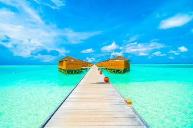 tropikal Maldivler ada Beach'de 