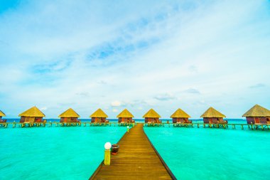 Güzel tropikal Maldivler ada