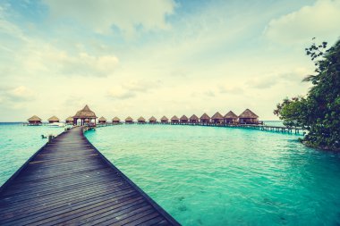 Güzel tropikal Maldivler ada