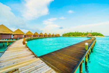 Güzel tropikal Maldivler ada