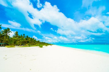 tropikal Maldivler ada Beach'de 