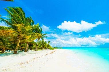 tropikal Maldivler ada Beach'de 