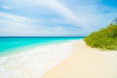 Güzel tropikal Maldivler ada