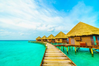 Güzel tropikal Maldivler ada