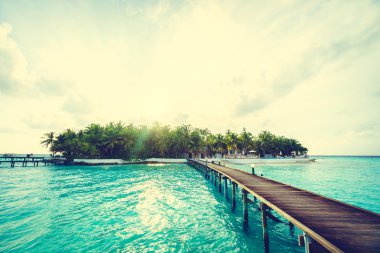 Güzel tropikal Maldivler ada