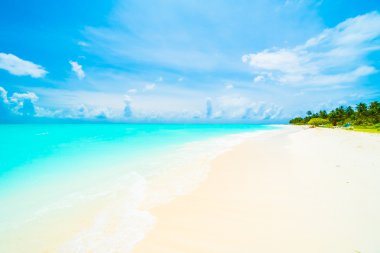 Güzel tropikal Maldivler ada