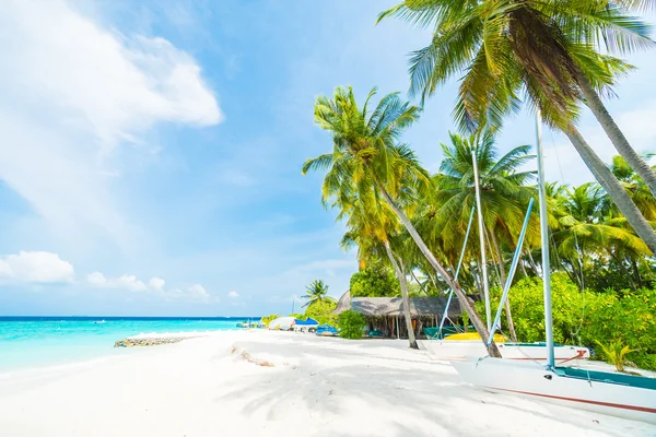 Belle île tropicale des Maldives — Photo