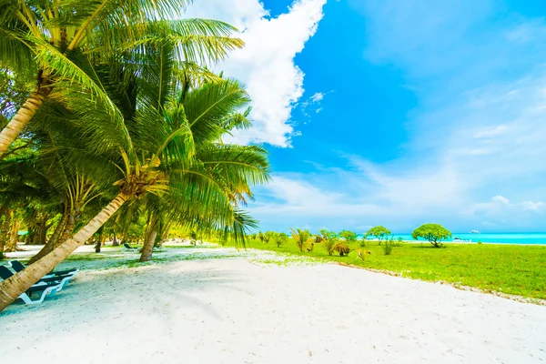 Linda ilha das Maldivas tropicais — Fotografia de Stock