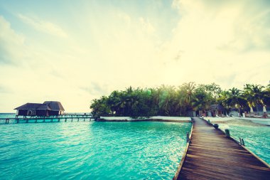 Güzel tropikal Maldivler ada