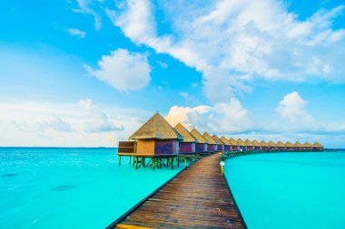 Güzel tropikal Maldivler ada