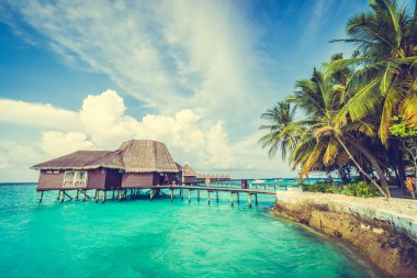Güzel tropikal Maldivler ada