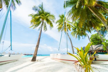 Güzel tropikal Maldivler ada