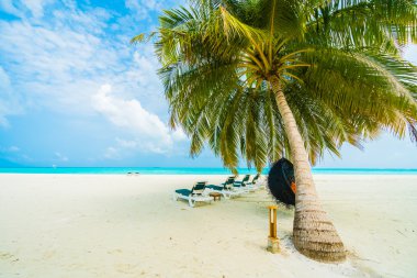 Güzel tropikal Maldivler ada