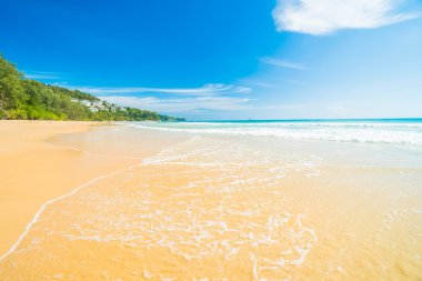 Güzel tropikal plaj ve deniz