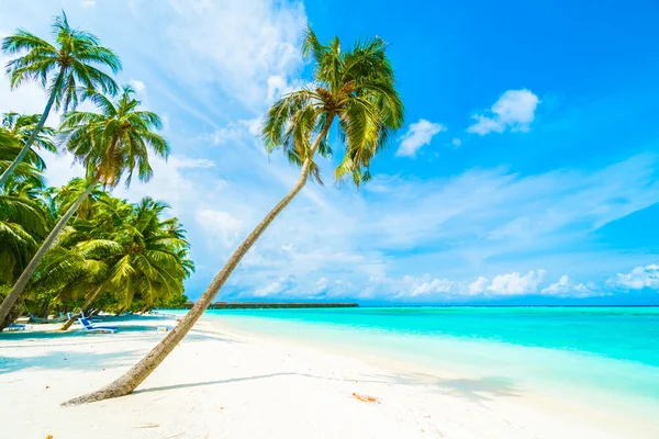 Beautiful tropical Maldives island Stock Image