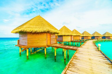 Güzel tropikal Maldivler ada
