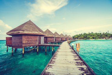 Güzel tropikal Maldivler ada
