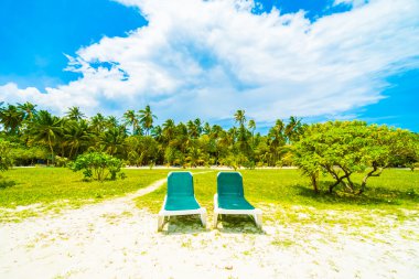 Güzel tropikal Maldivler ada